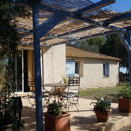 Joli Mas Au Bord De L'Etang De Thau Villa Marseillan  Exterior photo