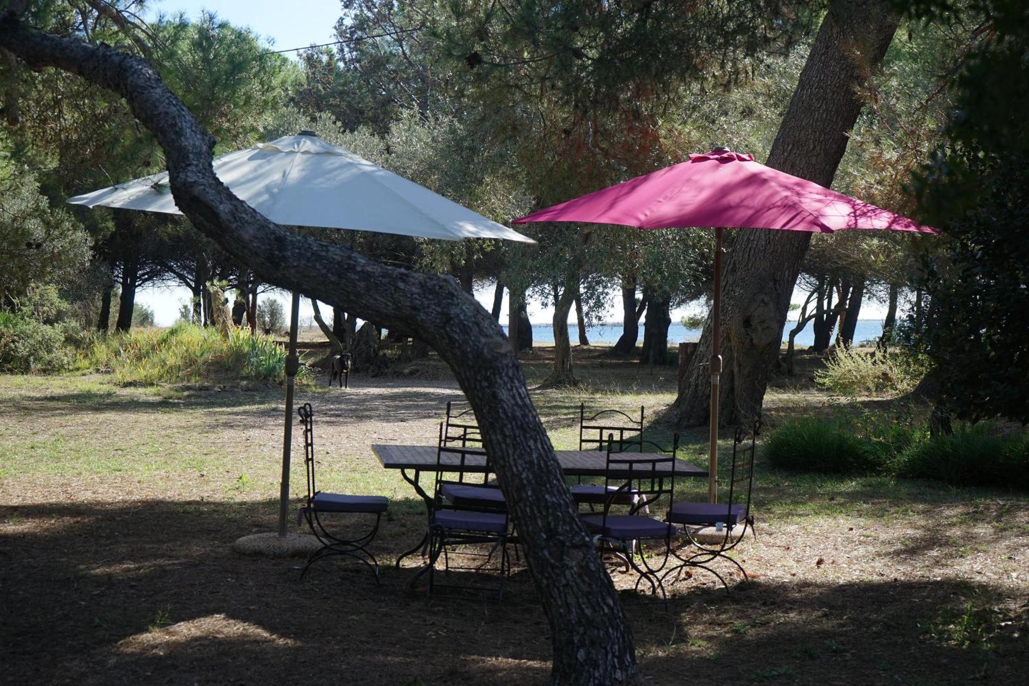 Joli Mas Au Bord De L'Etang De Thau Villa Marseillan  Exterior photo