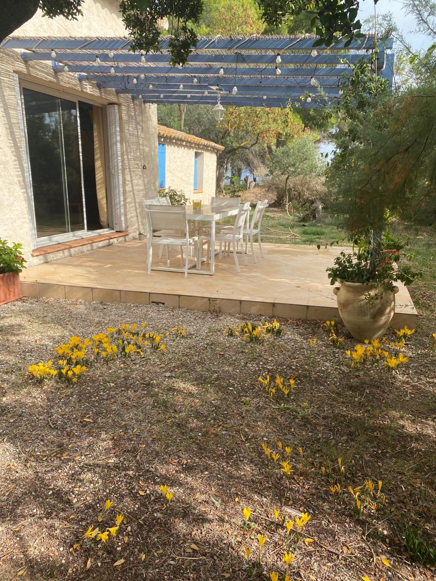 Joli Mas Au Bord De L'Etang De Thau Villa Marseillan  Exterior photo